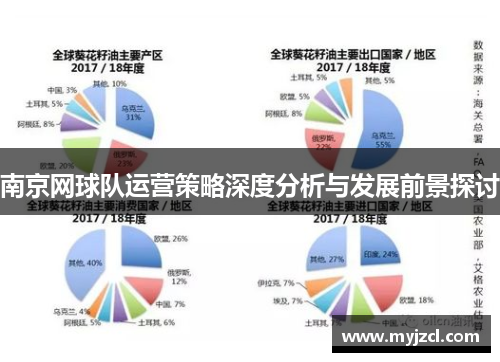 南京网球队运营策略深度分析与发展前景探讨