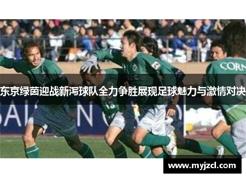 东京绿茵迎战新泻球队全力争胜展现足球魅力与激情对决